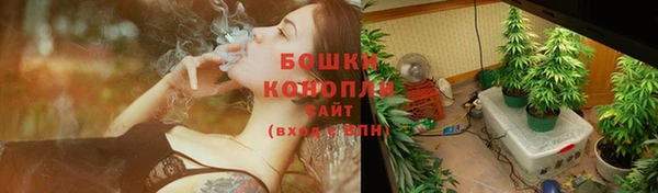 ГАЛЛЮЦИНОГЕННЫЕ ГРИБЫ Магас