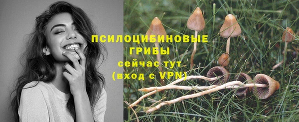 стаф Магадан