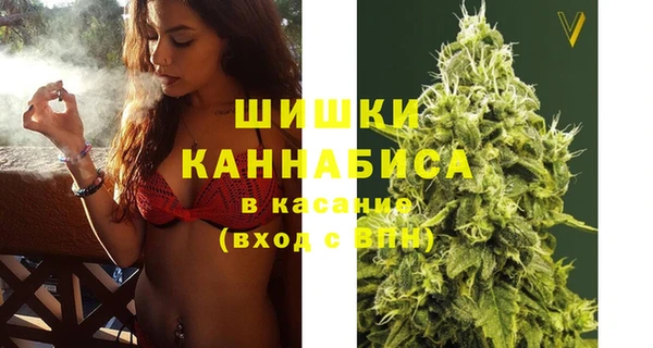 ГАЛЛЮЦИНОГЕННЫЕ ГРИБЫ Магас
