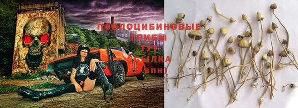индика Анива