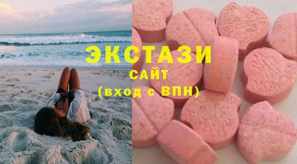 индика Анива