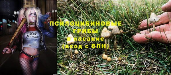 прущие грибы Майский