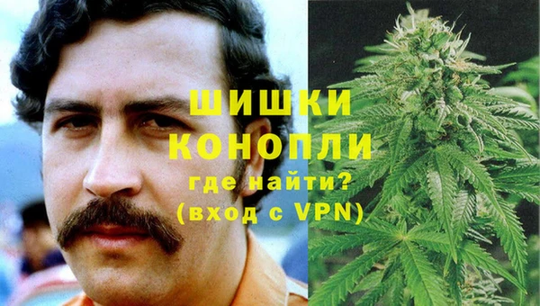ГАЛЛЮЦИНОГЕННЫЕ ГРИБЫ Магас