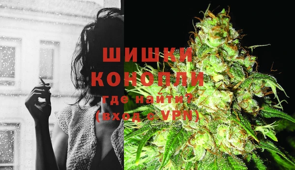 прущие грибы Майский