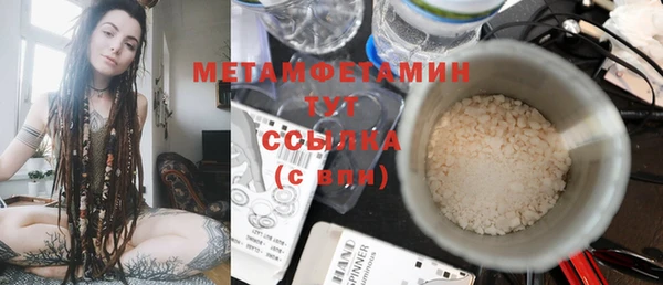прущие грибы Майский