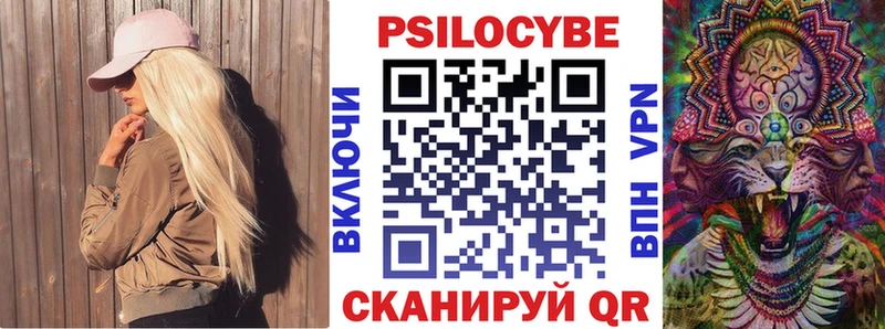 купить наркотик Тбилисская Псилоцибиновые грибы Psilocybine cubensis